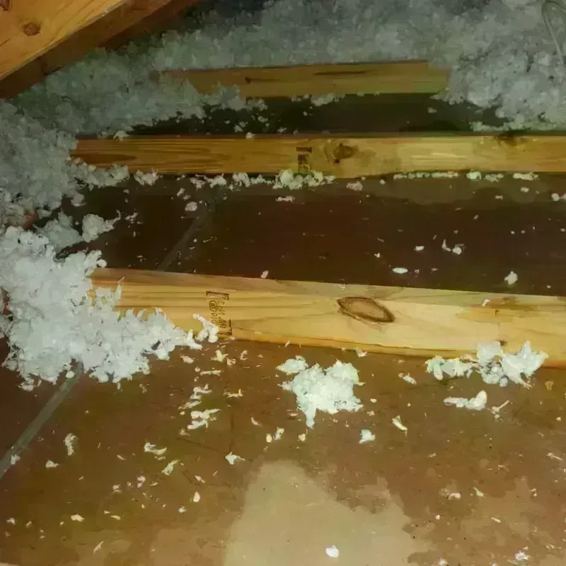 Attic Water Damage in Brazoria, TX