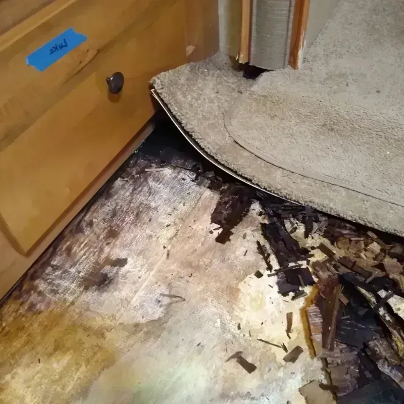 Wood Floor Water Damage in Brazoria, TX